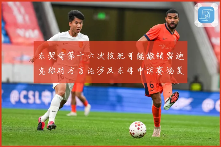 东契奇第十六次技犯可能撤销雷迪克称对方言论涉及东母申诉赛场复盘